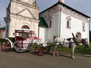 Мини-отель Усадьба ямщика Суздаль-6