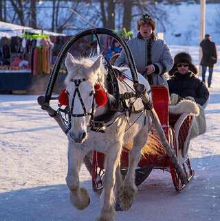 Мини-отель Усадьба ямщика Суздаль-7
